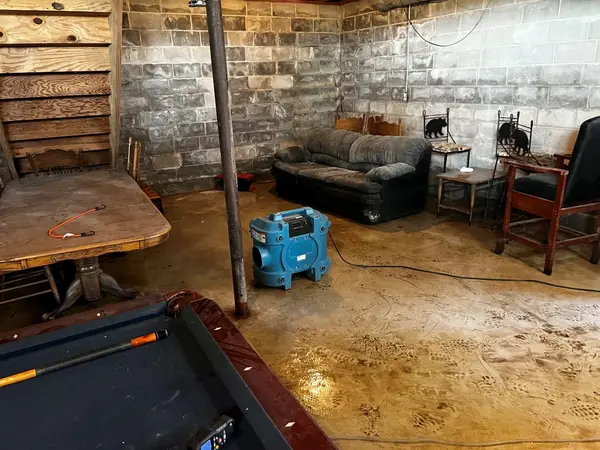 Mold in basement