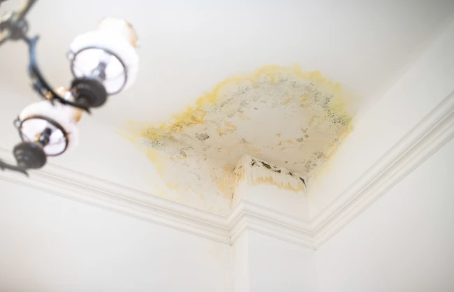 Ceiling water damage