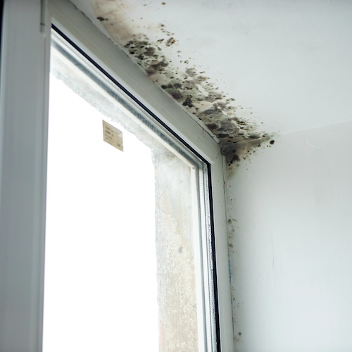 mold growing above sliding glass door